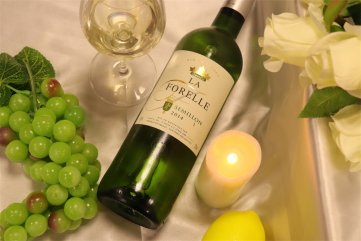 做进口红酒专卖店黄瓜视频在线观看污生意的前景如何